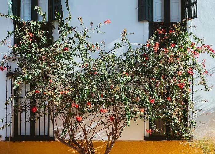 Hacienda Clavero Nine Superior Málaga